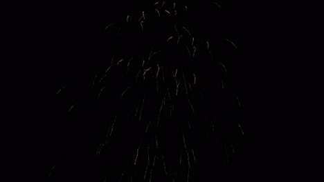 Feuerwerk-Feiern